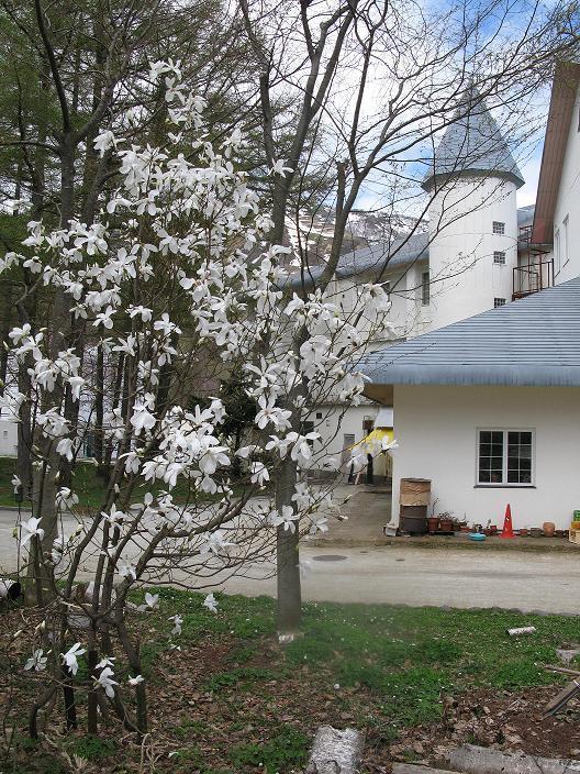Hotel Grindelwald Yuzawa  Exterior foto